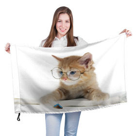 Флаг 3D с принтом Кот в очках , 100% полиэстер | плотность ткани — 95 г/м2, размер — 67 х 109 см. Принт наносится с одной стороны | домашнее | животное | книга | кот | кот в очках | котэ | очки | прикол | умный | ученый | читает
