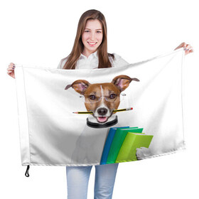 Флаг 3D с принтом Ученый пес , 100% полиэстер | плотность ткани — 95 г/м2, размер — 67 х 109 см. Принт наносится с одной стороны | домашнее | животное | карандаш | книги | очки | ошейник | пес | прикол | собака в очках | умный | ученый
