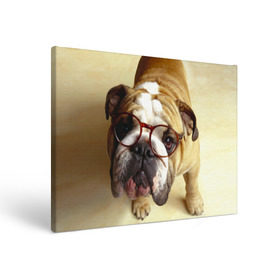 Холст прямоугольный с принтом Бульдог в очках , 100% ПВХ |  | Тематика изображения на принте: бульдог в очках | домашнее | животное | очки | пес | прикол | собака | умный | ученый