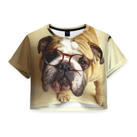 Женская футболка 3D укороченная с принтом Бульдог в очках , 100% полиэстер | круглая горловина, длина футболки до линии талии, рукава с отворотами | бульдог в очках | домашнее | животное | очки | пес | прикол | собака | умный | ученый