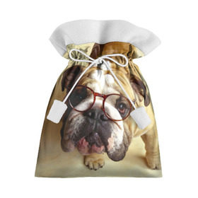 Подарочный 3D мешок с принтом Бульдог в очках , 100% полиэстер | Размер: 29*39 см | Тематика изображения на принте: бульдог в очках | домашнее | животное | очки | пес | прикол | собака | умный | ученый