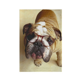 Обложка для паспорта матовая кожа с принтом Бульдог в очках , натуральная матовая кожа | размер 19,3 х 13,7 см; прозрачные пластиковые крепления | Тематика изображения на принте: бульдог в очках | домашнее | животное | очки | пес | прикол | собака | умный | ученый