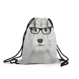 Рюкзак-мешок 3D с принтом Собака в очках , 100% полиэстер | плотность ткани — 200 г/м2, размер — 35 х 45 см; лямки — толстые шнурки, застежка на шнуровке, без карманов и подкладки | белый | домашнее | животное | очки | пес | прикол | собака в очках | умный | ученый | эрдельтерьер