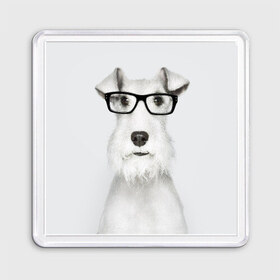 Магнит 55*55 с принтом Собака в очках , Пластик | Размер: 65*65 мм; Размер печати: 55*55 мм | Тематика изображения на принте: белый | домашнее | животное | очки | пес | прикол | собака в очках | умный | ученый | эрдельтерьер