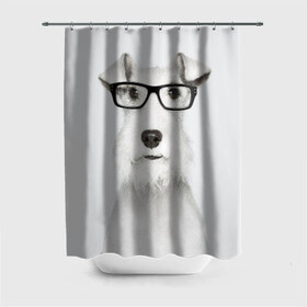 Штора 3D для ванной с принтом Собака в очках , 100% полиэстер | плотность материала — 100 г/м2. Стандартный размер — 146 см х 180 см. По верхнему краю — пластиковые люверсы для креплений. В комплекте 10 пластиковых колец | белый | домашнее | животное | очки | пес | прикол | собака в очках | умный | ученый | эрдельтерьер