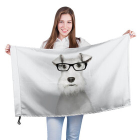 Флаг 3D с принтом Собака в очках , 100% полиэстер | плотность ткани — 95 г/м2, размер — 67 х 109 см. Принт наносится с одной стороны | белый | домашнее | животное | очки | пес | прикол | собака в очках | умный | ученый | эрдельтерьер