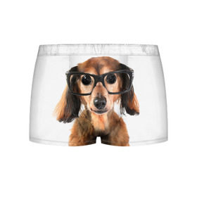 Мужские трусы 3D с принтом Собака в очках , 50% хлопок, 50% полиэстер | классическая посадка, на поясе мягкая тканевая резинка | домашнее | животное | очки | пес | прикол | собака в очках | умный | ученый