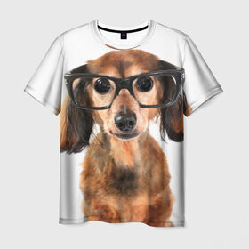 Мужская футболка 3D с принтом Собака в очках , 100% полиэфир | прямой крой, круглый вырез горловины, длина до линии бедер | домашнее | животное | очки | пес | прикол | собака в очках | умный | ученый