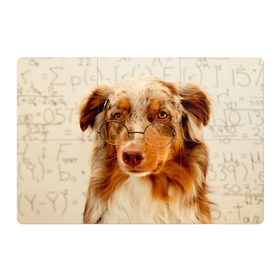 Магнитный плакат 3Х2 с принтом Собака в очках , Полимерный материал с магнитным слоем | 6 деталей размером 9*9 см | Тематика изображения на принте: домашнее | животное | очки | пес | прикол | собака в очках | умный | ученый
