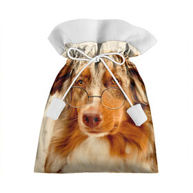 Подарочный 3D мешок с принтом Собака в очках , 100% полиэстер | Размер: 29*39 см | Тематика изображения на принте: домашнее | животное | очки | пес | прикол | собака в очках | умный | ученый