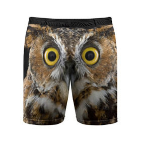 Мужские шорты 3D спортивные с принтом Сова ,  |  | взгляд | гипноз | гипнотический | глаза | мистическая | ночная | ночь | птица | сова | фон | хищник | черный