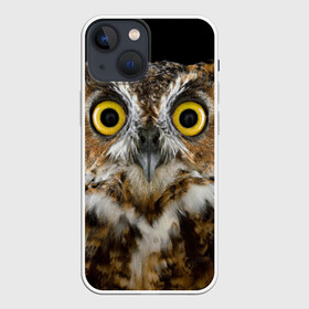 Чехол для iPhone 13 mini с принтом Сова ,  |  | Тематика изображения на принте: взгляд | гипноз | гипнотический | глаза | мистическая | ночная | ночь | птица | сова | фон | хищник | черный