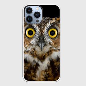 Чехол для iPhone 13 Pro Max с принтом Сова ,  |  | Тематика изображения на принте: взгляд | гипноз | гипнотический | глаза | мистическая | ночная | ночь | птица | сова | фон | хищник | черный