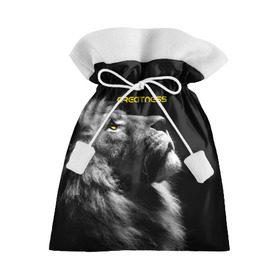 Подарочный 3D мешок с принтом Greatness (Величие) , 100% полиэстер | Размер: 29*39 см | Тематика изображения на принте: lion | великий | киска | кот | кошка | лев | сильный