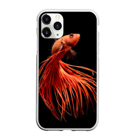 Чехол для iPhone 11 Pro матовый с принтом Бойцовая рыбка , Силикон |  | аквариумная | бойцовая | красивый | плавники | рыба | рыбка | хвост | япаонская