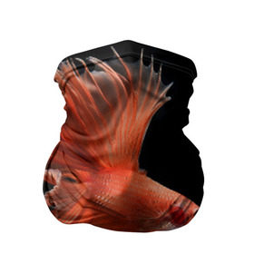 Бандана-труба 3D с принтом Бойцовая рыбка , 100% полиэстер, ткань с особыми свойствами — Activecool | плотность 150‒180 г/м2; хорошо тянется, но сохраняет форму | аквариумная | бойцовая | красивый | плавники | рыба | рыбка | хвост | япаонская