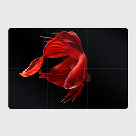 Магнитный плакат 3Х2 с принтом Бойцовая рыбка , Полимерный материал с магнитным слоем | 6 деталей размером 9*9 см | 