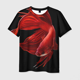 Мужская футболка 3D с принтом Бойцовая рыбка , 100% полиэфир | прямой крой, круглый вырез горловины, длина до линии бедер | 