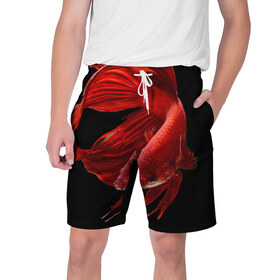 Мужские шорты 3D с принтом Бойцовая рыбка ,  полиэстер 100% | прямой крой, два кармана без застежек по бокам. Мягкая трикотажная резинка на поясе, внутри которой широкие завязки. Длина чуть выше колен | 