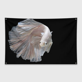 Флаг-баннер с принтом Бойцовая рыбка , 100% полиэстер | размер 67 х 109 см, плотность ткани — 95 г/м2; по краям флага есть четыре люверса для крепления | аквариумная | бойцовая | красивый | плавники | рыба | рыбка | хвост | япаонская
