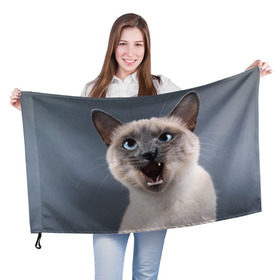 Флаг 3D с принтом Злой кот , 100% полиэстер | плотность ткани — 95 г/м2, размер — 67 х 109 см. Принт наносится с одной стороны | взгляд | домашнее | животное | злой | зубы | клыки | кот | котэ | кошка | оскал | сеамский