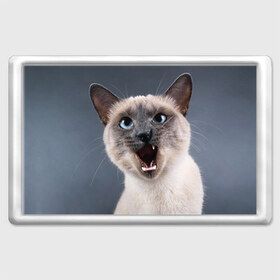 Магнит 45*70 с принтом Злой кот , Пластик | Размер: 78*52 мм; Размер печати: 70*45 | Тематика изображения на принте: взгляд | домашнее | животное | злой | зубы | клыки | кот | котэ | кошка | оскал | сеамский