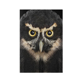 Обложка для паспорта матовая кожа с принтом Сова , натуральная матовая кожа | размер 19,3 х 13,7 см; прозрачные пластиковые крепления | взгляд | гипноз | гипнотический | глаза | мистическая | ночная | ночь | птица | сова | фон | хищник | черный