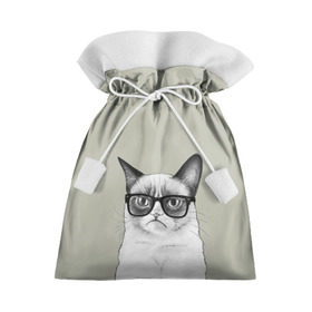 Подарочный 3D мешок с принтом Кот - хипстер , 100% полиэстер | Размер: 29*39 см | cat | hipster | кот | кошка | хипстер