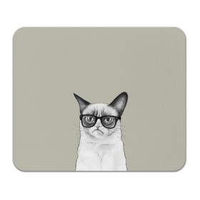 Коврик прямоугольный с принтом Кот - хипстер , натуральный каучук | размер 230 х 185 мм; запечатка лицевой стороны | Тематика изображения на принте: cat | hipster | кот | кошка | хипстер