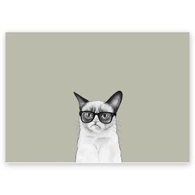 Поздравительная открытка с принтом Кот - хипстер , 100% бумага | плотность бумаги 280 г/м2, матовая, на обратной стороне линовка и место для марки
 | cat | hipster | кот | кошка | хипстер