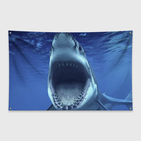 Флаг-баннер с принтом Белая акула , 100% полиэстер | размер 67 х 109 см, плотность ткани — 95 г/м2; по краям флага есть четыре люверса для крепления | shark | море | синий