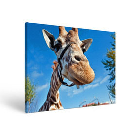 Холст прямоугольный с принтом Прикольный жираф , 100% ПВХ |  | африка | животное | жираф | небо | природа