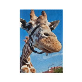Обложка для паспорта матовая кожа с принтом Прикольный жираф , натуральная матовая кожа | размер 19,3 х 13,7 см; прозрачные пластиковые крепления | африка | животное | жираф | небо | природа