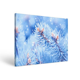 Холст прямоугольный с принтом Снежные иголки , 100% ПВХ |  | Тематика изображения на принте: дед мороз | елка | ель | зима | иголки | новый год | снег