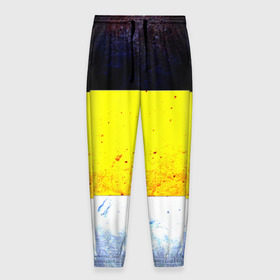 Мужские брюки 3D с принтом Триколор , 100% полиэстер | манжеты по низу, эластичный пояс регулируется шнурком, по бокам два кармана без застежек, внутренняя часть кармана из мелкой сетки | 