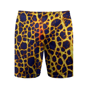 Мужские шорты 3D спортивные с принтом Леопард ,  |  | кожа | леопард | текстуры
