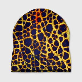 Шапка 3D с принтом Леопард , 100% полиэстер | универсальный размер, печать по всей поверхности изделия | кожа | леопард | текстуры