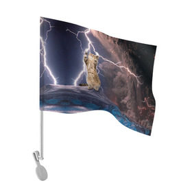 Флаг для автомобиля с принтом Кот и молния , 100% полиэстер | Размер: 30*21 см | буря | гроза | кот | котенок | молния | облака