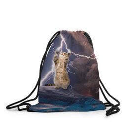 Рюкзак-мешок 3D с принтом Кот и молния , 100% полиэстер | плотность ткани — 200 г/м2, размер — 35 х 45 см; лямки — толстые шнурки, застежка на шнуровке, без карманов и подкладки | буря | гроза | кот | котенок | молния | облака