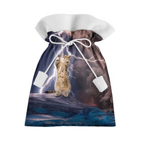 Подарочный 3D мешок с принтом Кот и молния , 100% полиэстер | Размер: 29*39 см | Тематика изображения на принте: буря | гроза | кот | котенок | молния | облака
