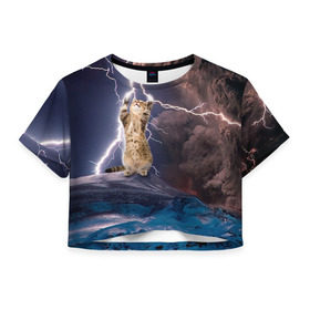 Женская футболка 3D укороченная с принтом Кот и молния , 100% полиэстер | круглая горловина, длина футболки до линии талии, рукава с отворотами | буря | гроза | кот | котенок | молния | облака