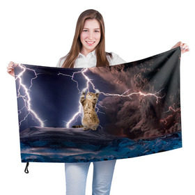 Флаг 3D с принтом Кот и молния , 100% полиэстер | плотность ткани — 95 г/м2, размер — 67 х 109 см. Принт наносится с одной стороны | буря | гроза | кот | котенок | молния | облака