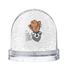 Снежный шар с принтом Енот ковбой , Пластик | Изображение внутри шара печатается на глянцевой фотобумаге с двух сторон | енот