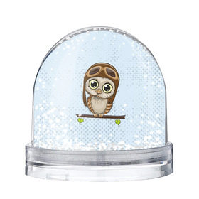 Снежный шар с принтом Сова пилот , Пластик | Изображение внутри шара печатается на глянцевой фотобумаге с двух сторон | сова