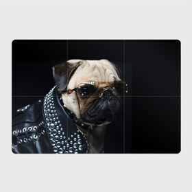 Магнитный плакат 3Х2 с принтом Бульдог в очках , Полимерный материал с магнитным слоем | 6 деталей размером 9*9 см | бульдог в очках | домашнее | животное | клепки | кожа | металлист | очки | пес | прикол | рокер | собака | умный | ученый | французский