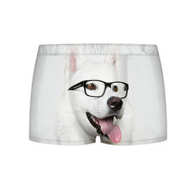 Мужские трусы 3D с принтом Собака в очках , 50% хлопок, 50% полиэстер | классическая посадка, на поясе мягкая тканевая резинка | домашнее | животное | очки | пес | прикол | собака в очках | умный | ученый