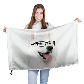 Флаг 3D с принтом Собака в очках , 100% полиэстер | плотность ткани — 95 г/м2, размер — 67 х 109 см. Принт наносится с одной стороны | домашнее | животное | очки | пес | прикол | собака в очках | умный | ученый