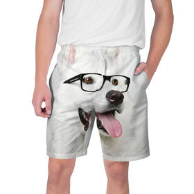 Мужские шорты 3D с принтом Собака в очках ,  полиэстер 100% | прямой крой, два кармана без застежек по бокам. Мягкая трикотажная резинка на поясе, внутри которой широкие завязки. Длина чуть выше колен | домашнее | животное | очки | пес | прикол | собака в очках | умный | ученый