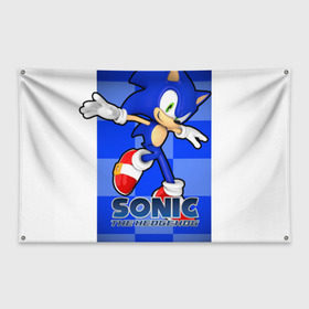 Флаг-баннер с принтом Sonic The-Hedgehog , 100% полиэстер | размер 67 х 109 см, плотность ткани — 95 г/м2; по краям флага есть четыре люверса для крепления | sega sonic