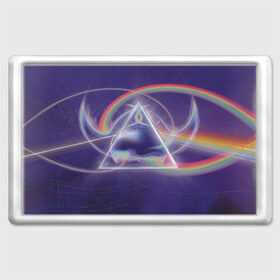 Магнит 45*70 с принтом Pink Floyd , Пластик | Размер: 78*52 мм; Размер печати: 70*45 | pink floyd